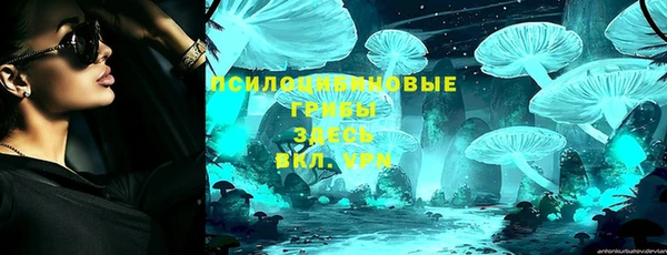 шишки Кинешма